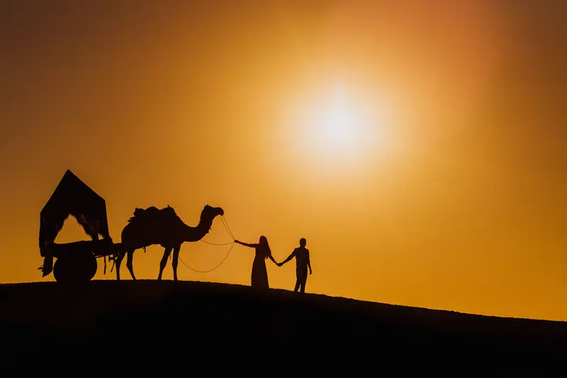 A couple and camels silhouetted in the Pushkar desert