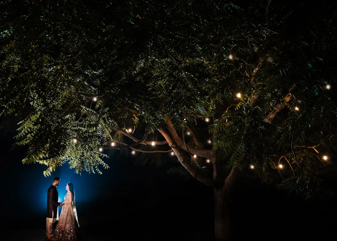 An engagement under a tree strung with lights at night